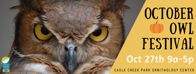 Owl Festival Banner