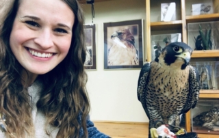 Jenna and Falcon