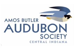 ABAS Logo