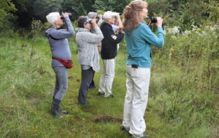 Group of Birders