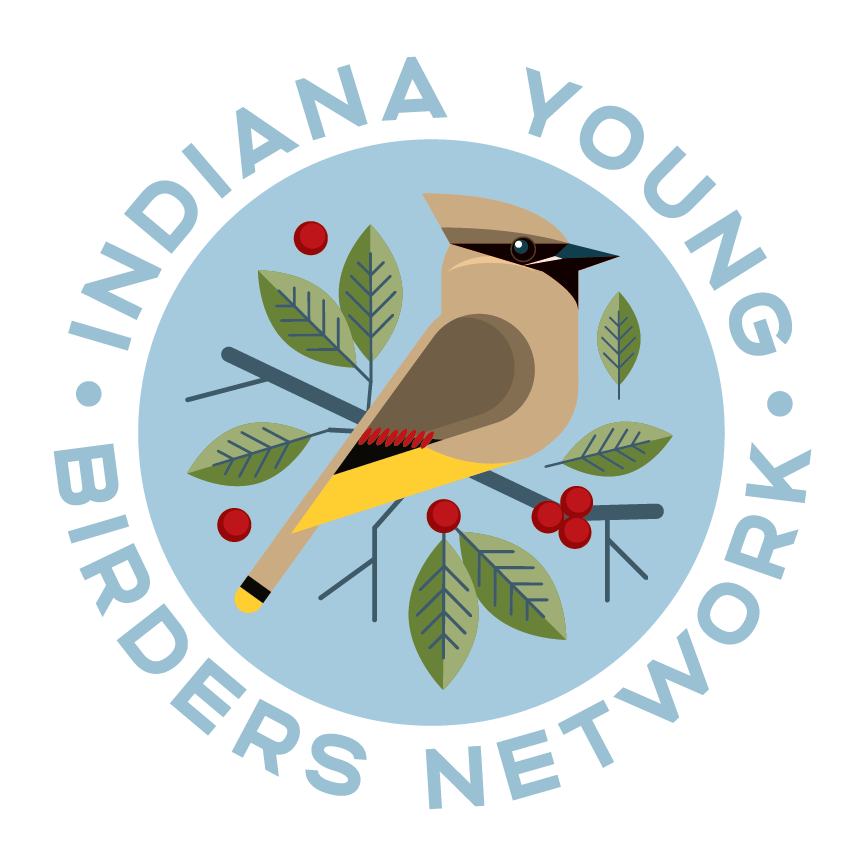 IYBNLogo