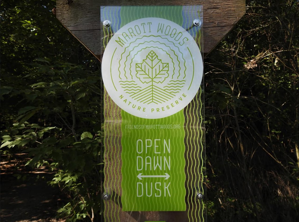 MP4