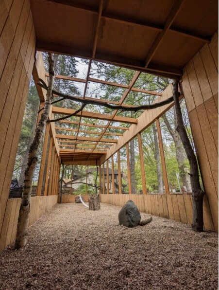 AVIARY3