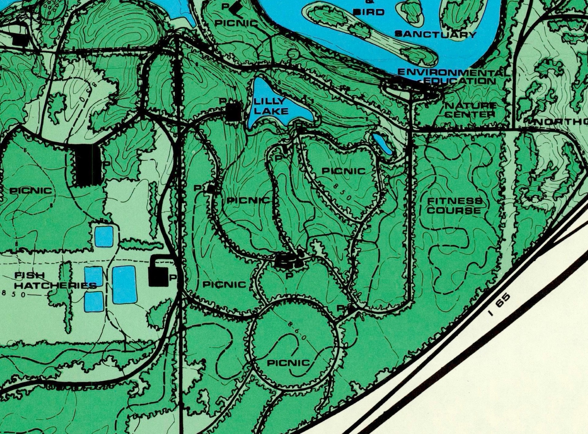 restoring_skating_pond_2