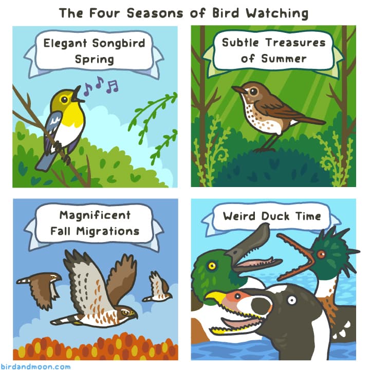 weirdducktime_cartoon