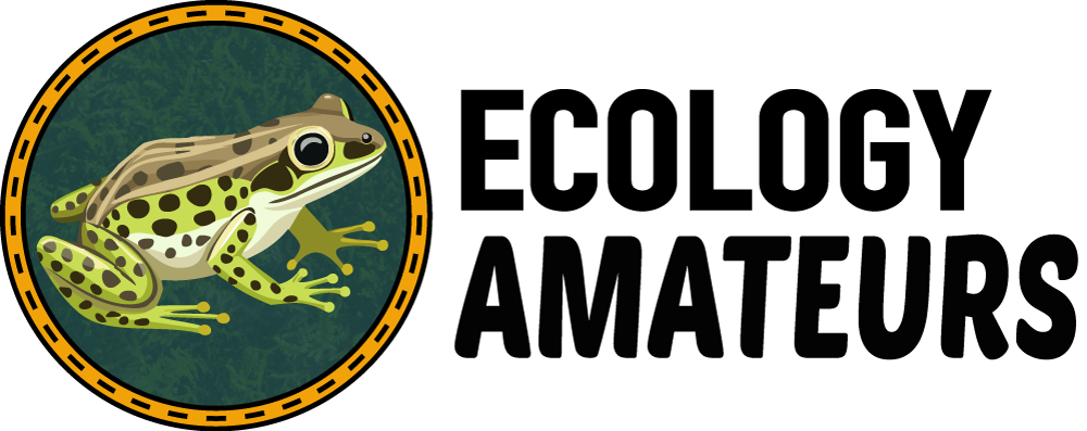 Ecology-Amateurs-Logo-Horizontal-BlackTxt